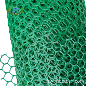 Mesh en plastique pour le renforcement de l&#39;herbe